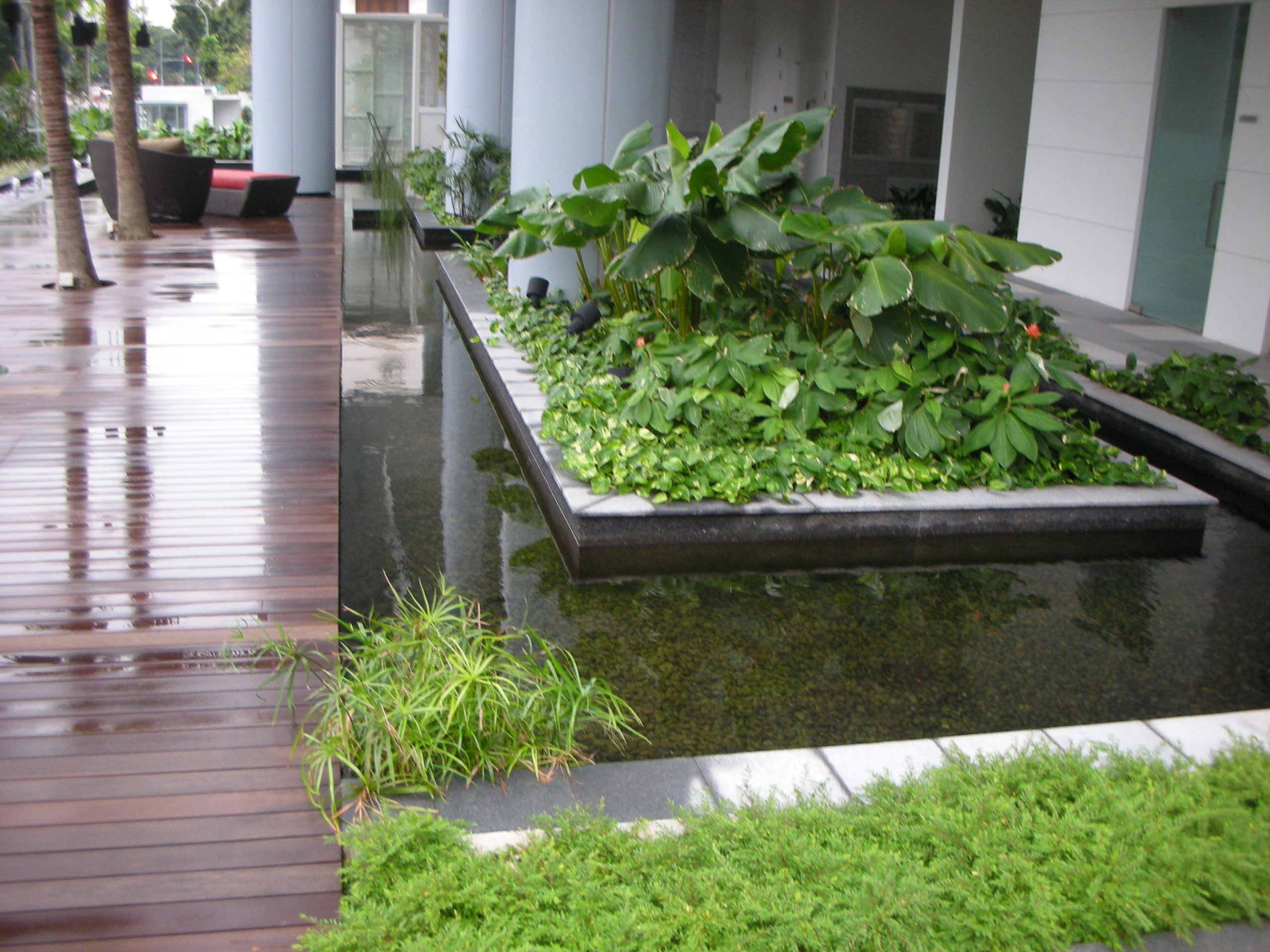 Eco pond system shown in AQUABLU's portfolio