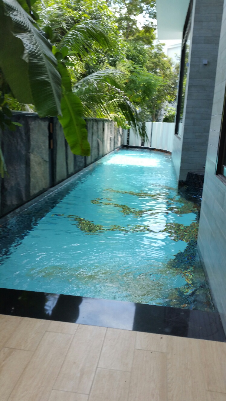 Long skimmer swimming pool at 6th Avenue